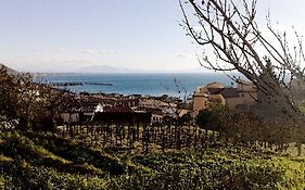 Villa Avenia